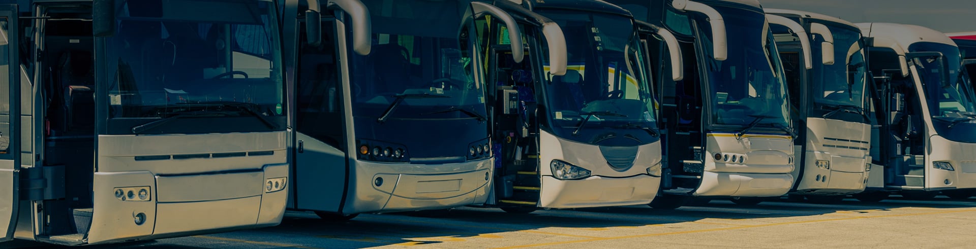 5 Tips for Booking Your Skyways Ticket Online
